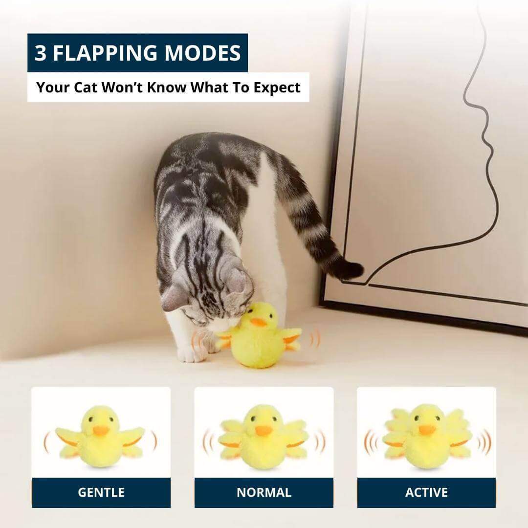 Quacky Pal™ - Flapping Duck Cat Toy - Default Title, Nymock
