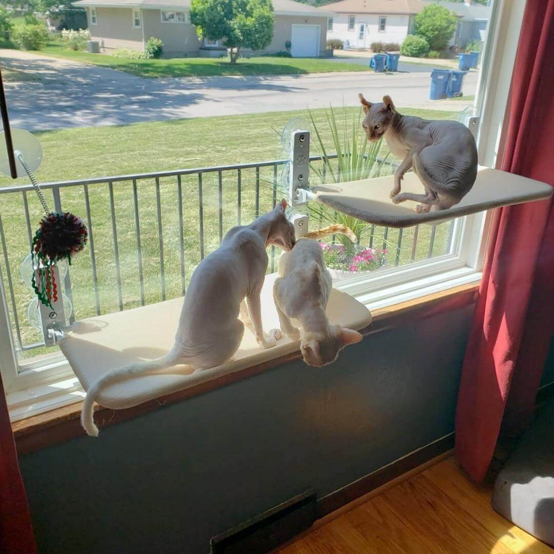 Nymock™ Foldable Cat Hammock - Plush *NEW* / Regular, Nymock