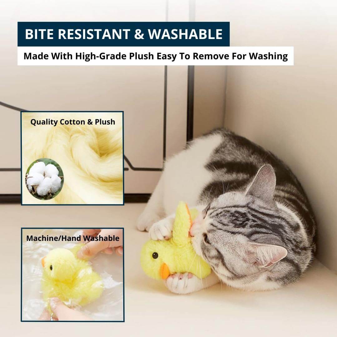 Quacky Pal™ - Flapping Duck Cat Toy - Default Title, Nymock