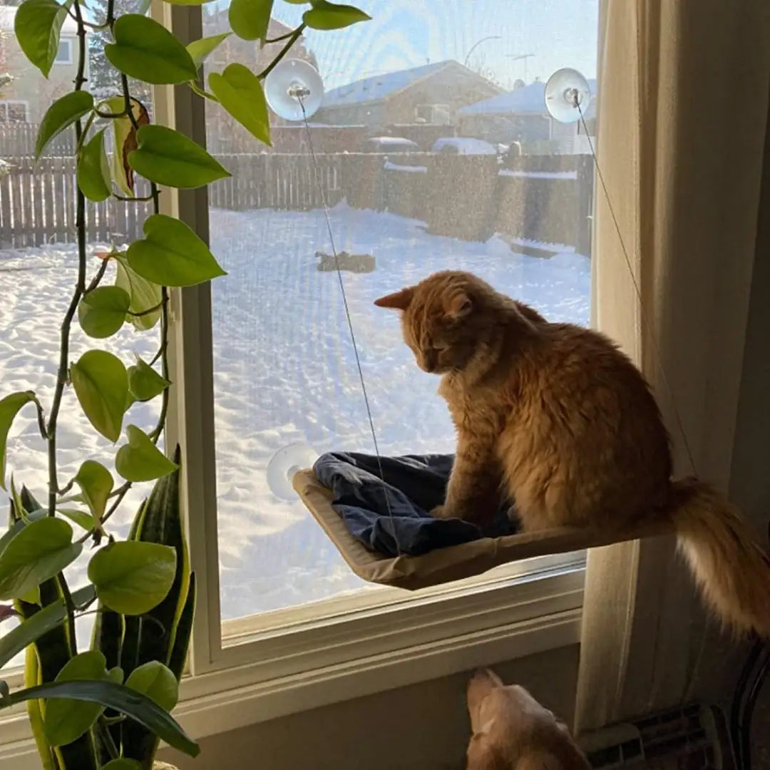 Nymock™ Indoor Cat Hammock - Khaki, Nymock