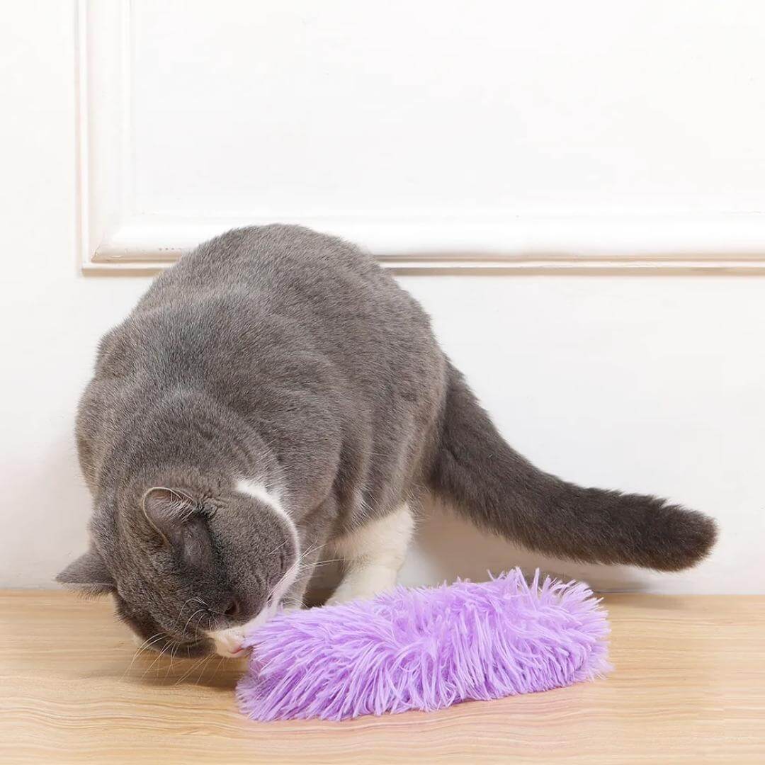 Cuddle & Kick™ Fuzzy Catnip Kicker - Surprise Me, Nymock