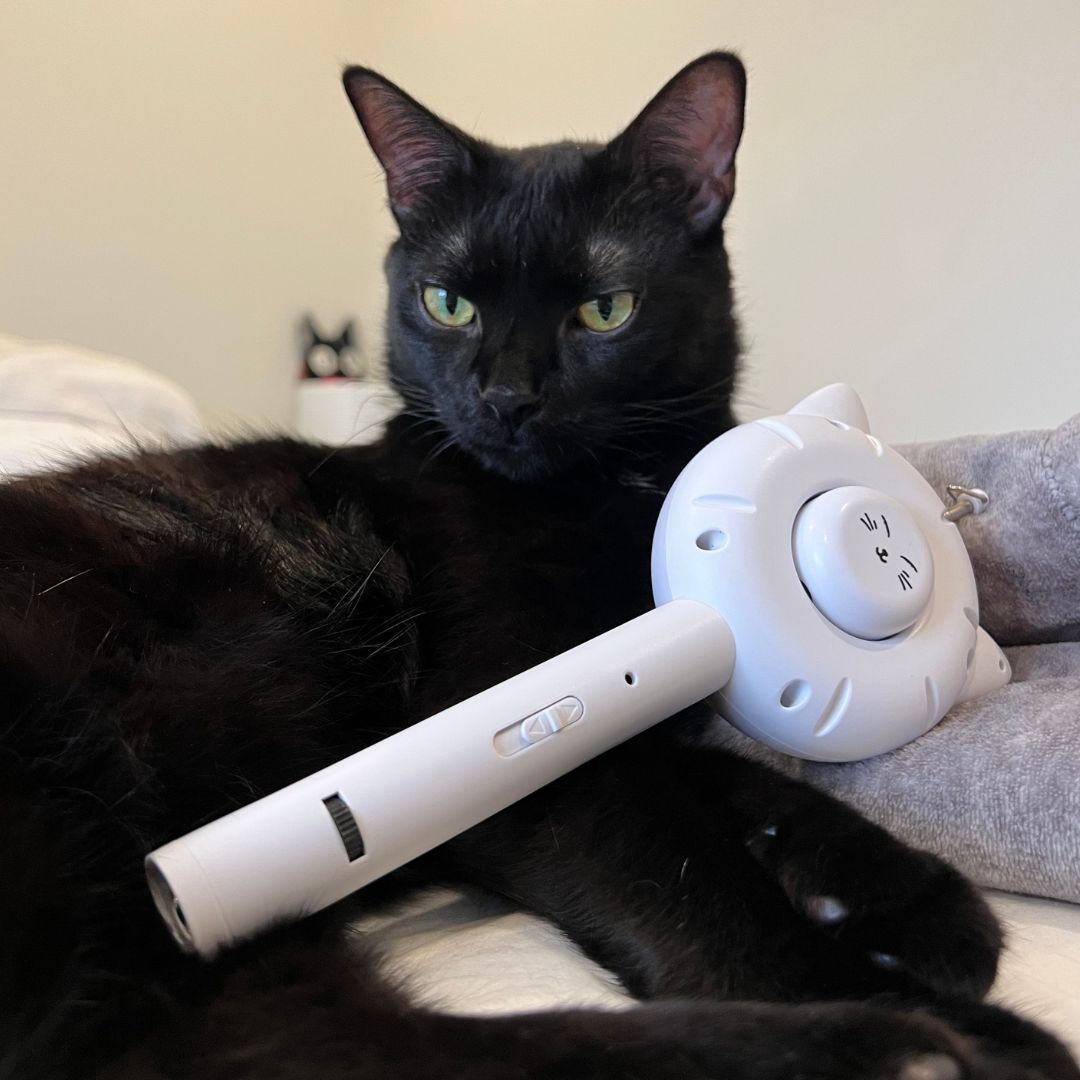 PurrfectGroom™ 5-in-1 Cat Brush - , Nymock