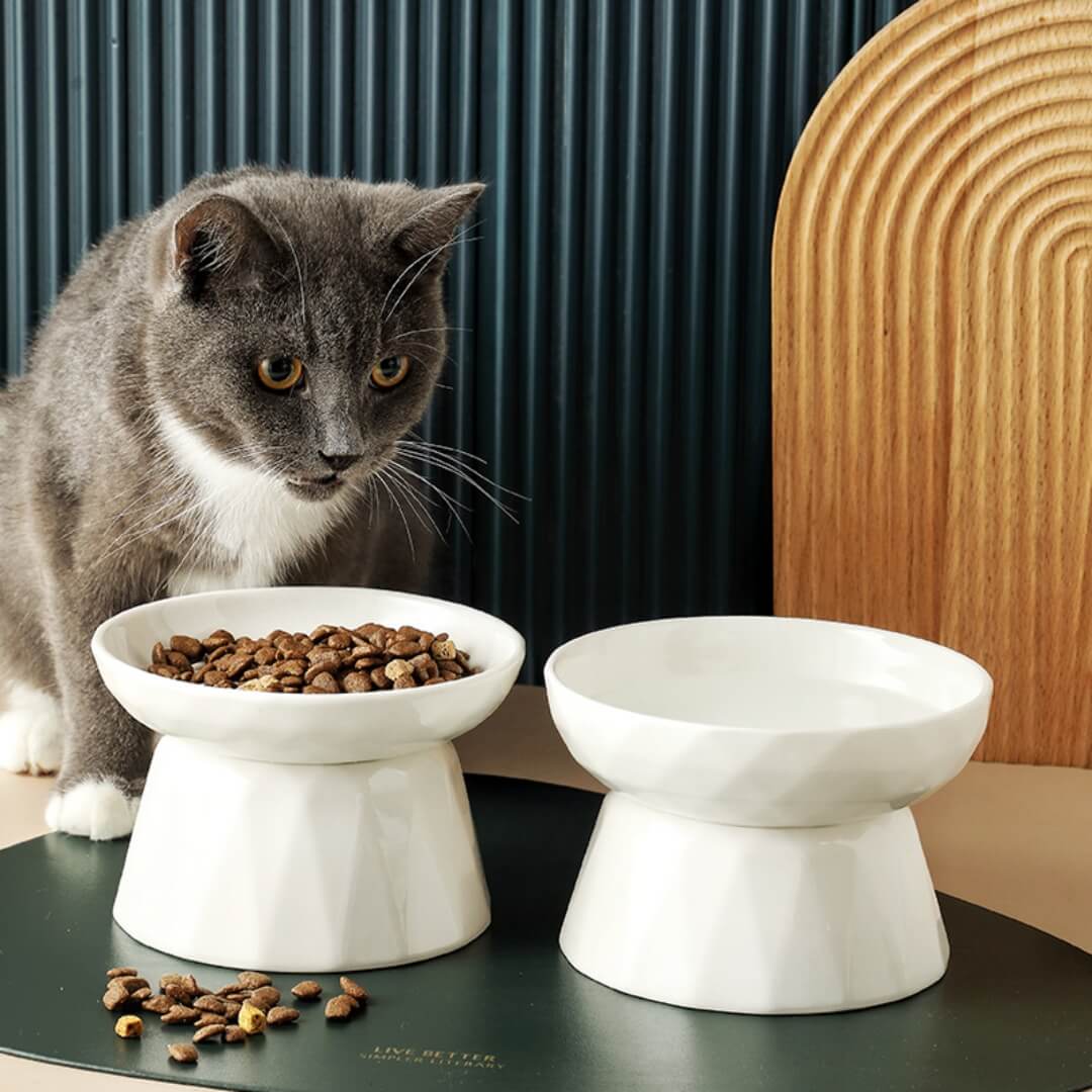 Whisker Friendly Slow Feeder Cat Bowl - Default Title, Nymock