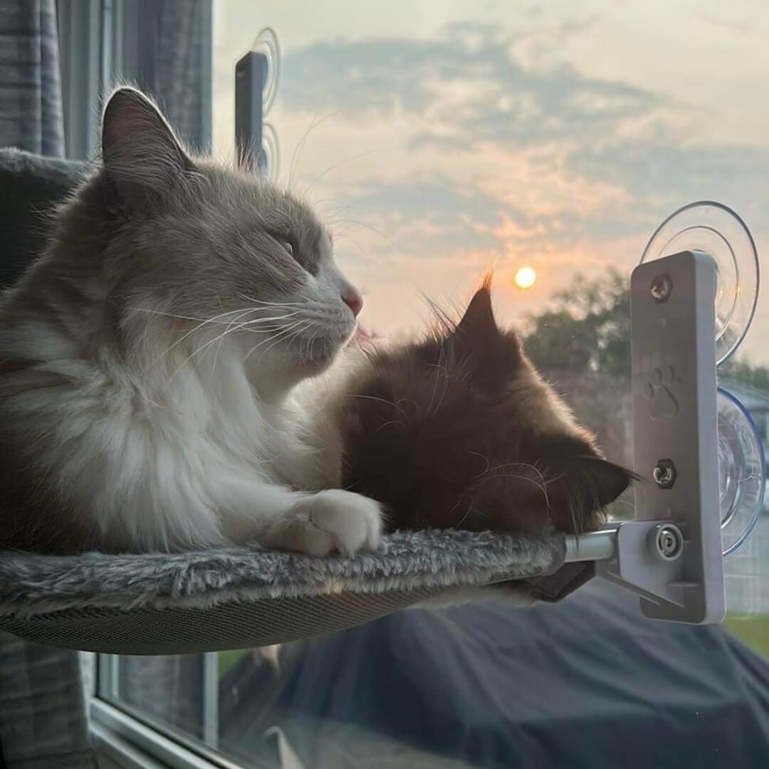 Nymock™ Foldable Cat Hammock - Plush *NEW* / Regular, Nymock