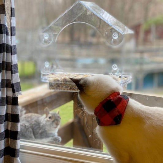 Window Bird Feeder - Default Title, Nymock