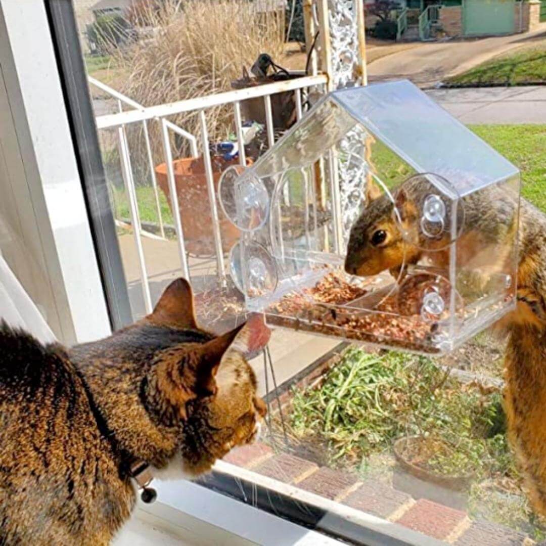 Window Bird Feeder - Default Title, Nymock
