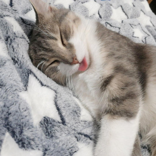 ThermaPad™ Self-Heating Cat Mat - Pink + Stars, Nymock