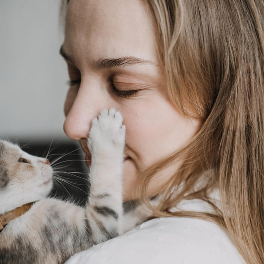 Tips For First Time Cat Owners in 2023