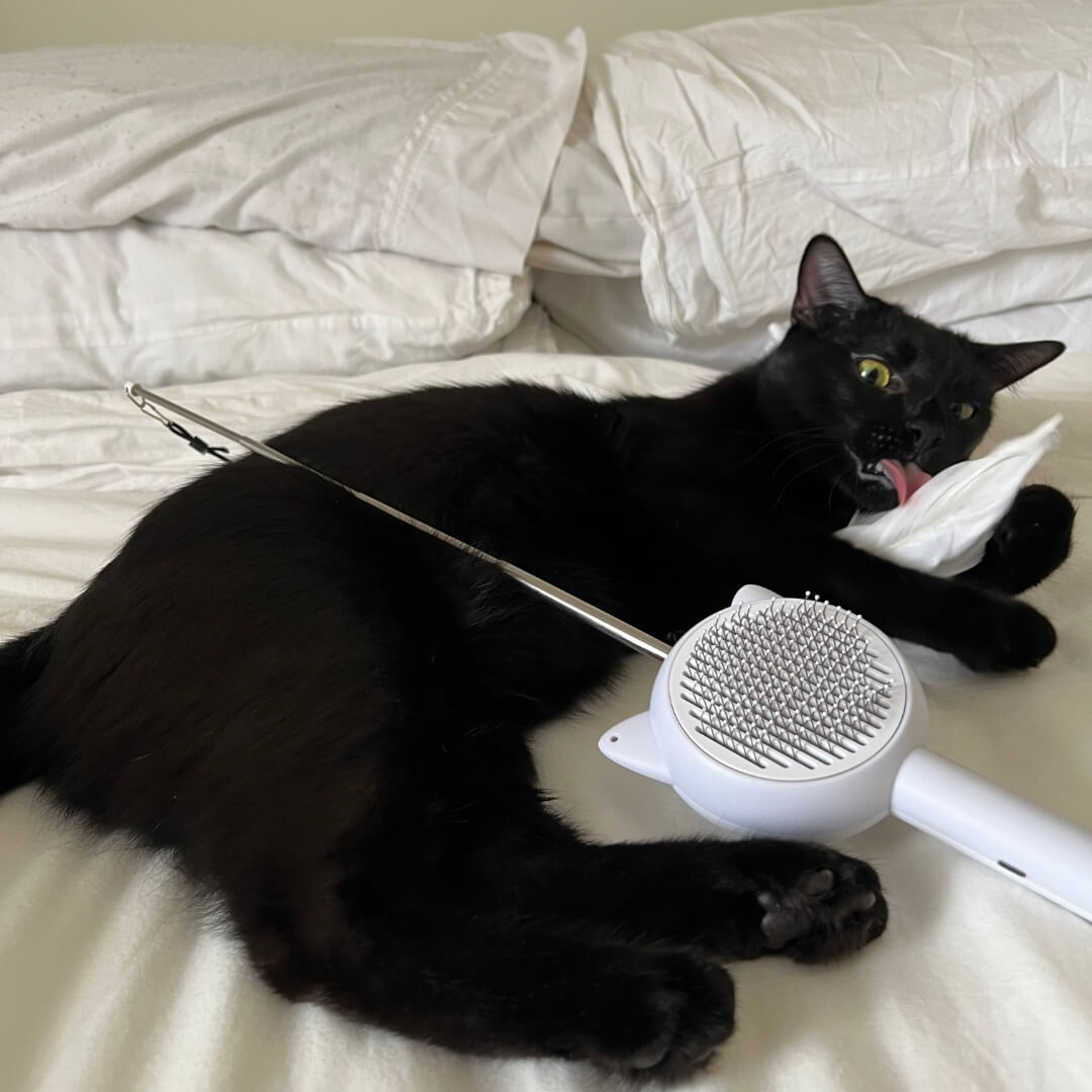 PurrfectGroom™ 5-in-1 Cat Brush - White, Nymock
