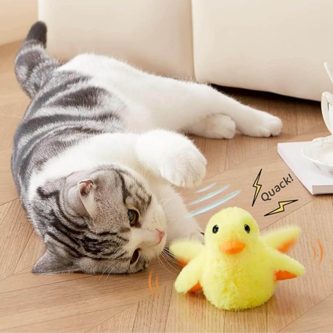 Quacky Pal™ - Flapping Duck Cat Toy - , Nymock