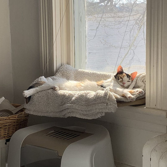 Indoor Window Cat Hammock | Nymock