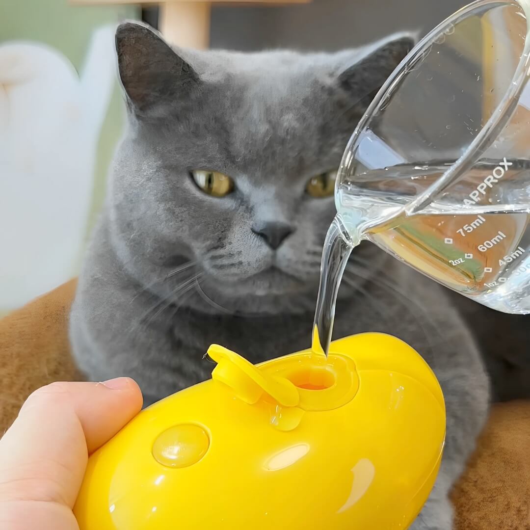 KittySpa™ - Cat Steam Brush - Green, Nymock