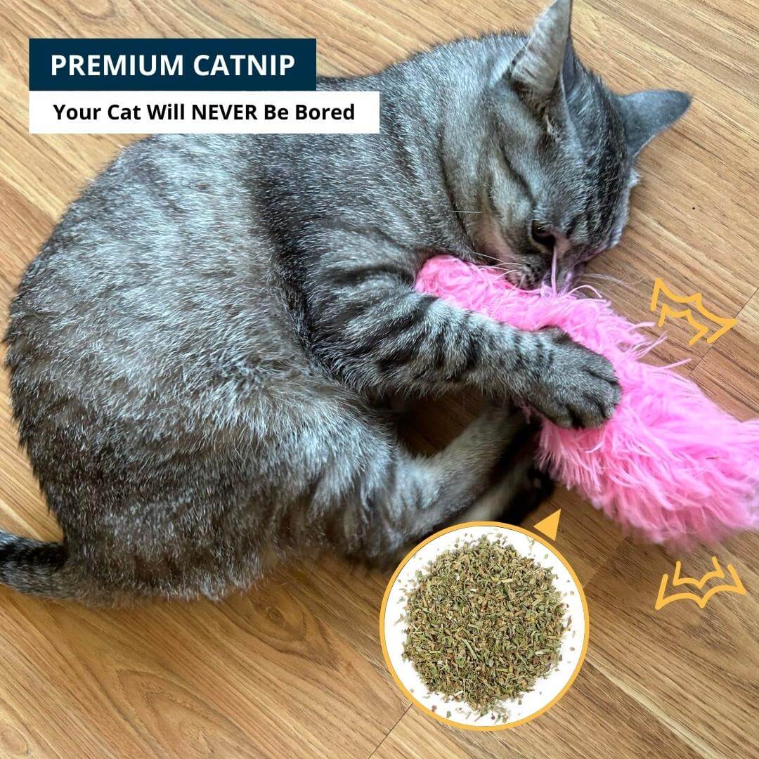 Cuddle & Kick™ Fuzzy Catnip Kicker - Surprise Me, Nymock