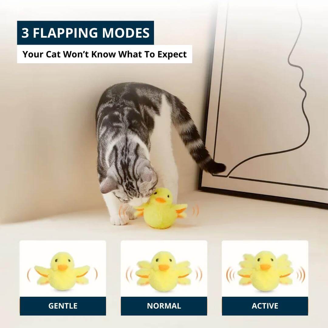 Quacky Pal™ - Flapping Duck Cat Toy - , Nymock