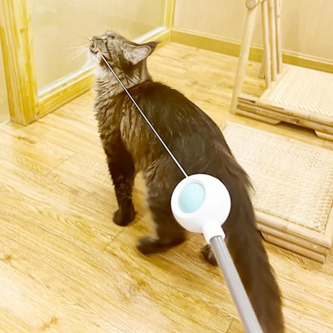 Kitty Rocket™ - 3-in-1 Retractable Cat Wand With Laser - Blue, Nymock