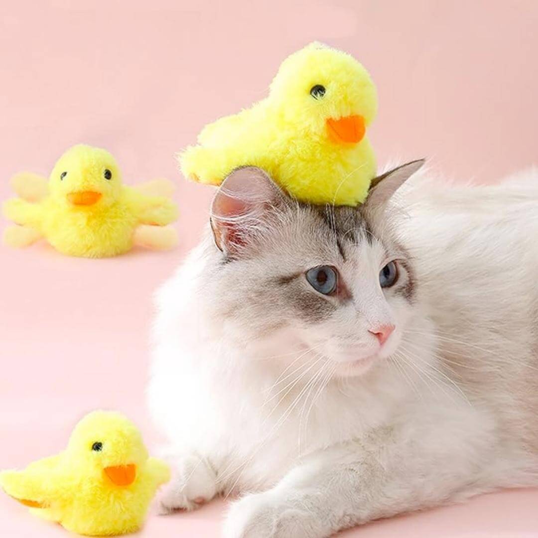 Quacky Pal™ - Flapping Duck Cat Toy - Default Title, Nymock