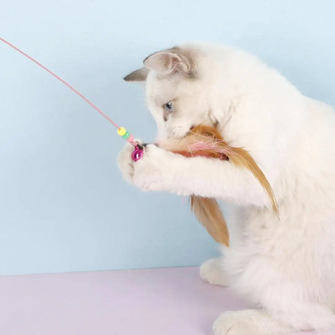 Nymock™ Feather Teaser Cat Wand - Short Feather, Nymock