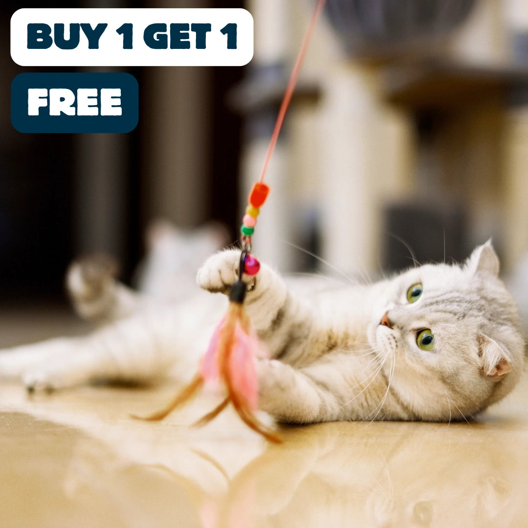 Nymock™ Feather Teaser Cat Wand - Short Feather, Nymock