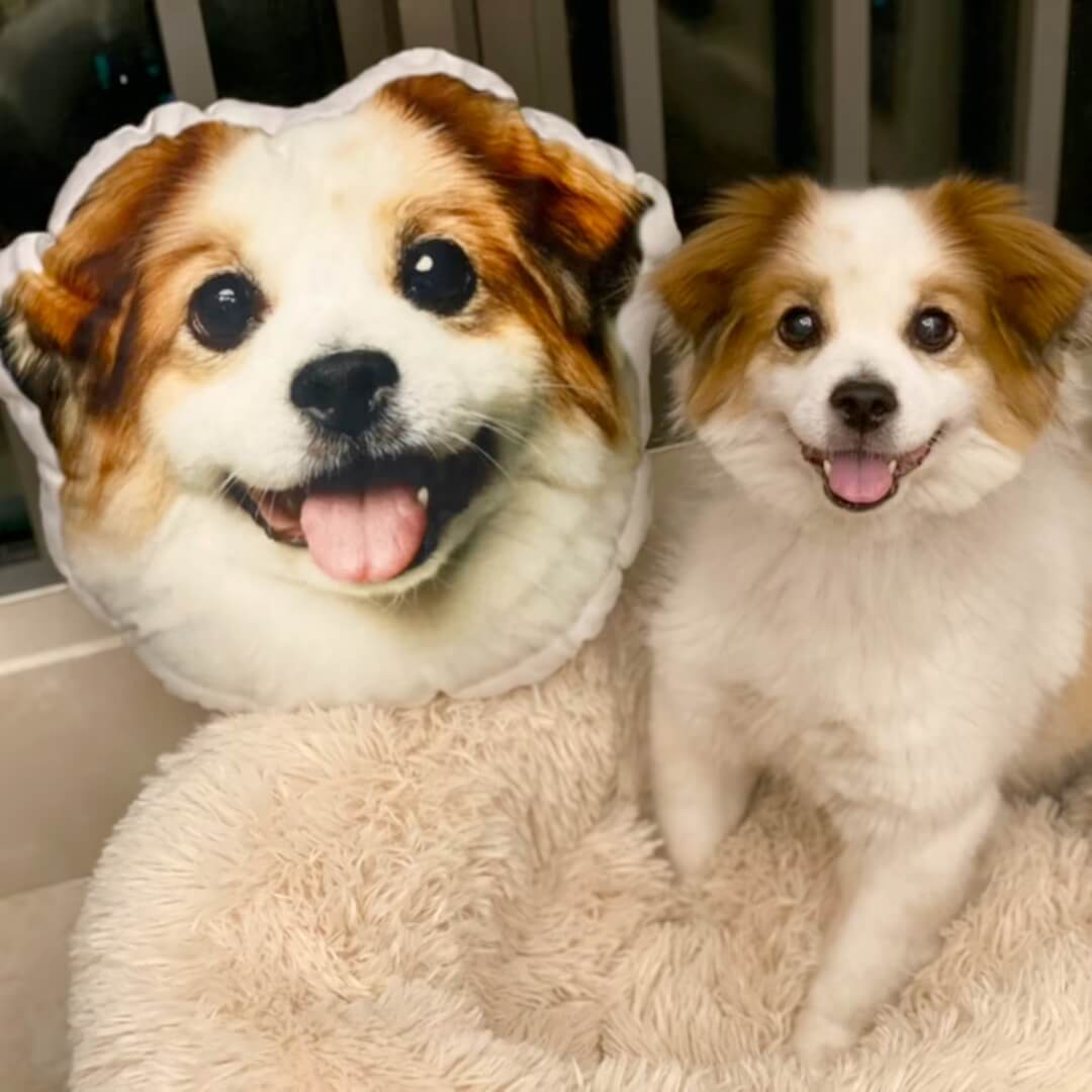 Custom Pet Pillow From Photo - 20cm, Nymock
