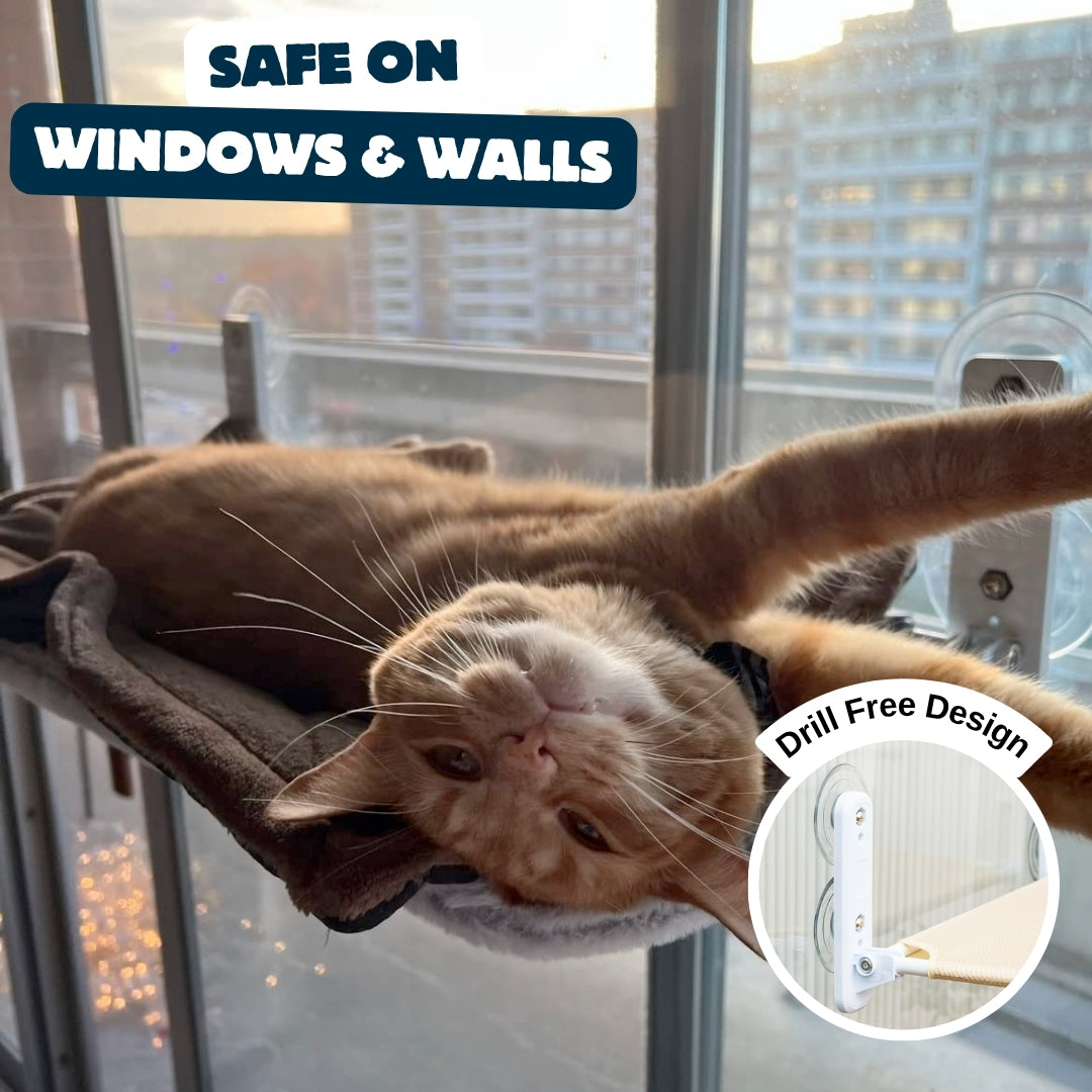 Nymock™ Foldable Cat Hammock