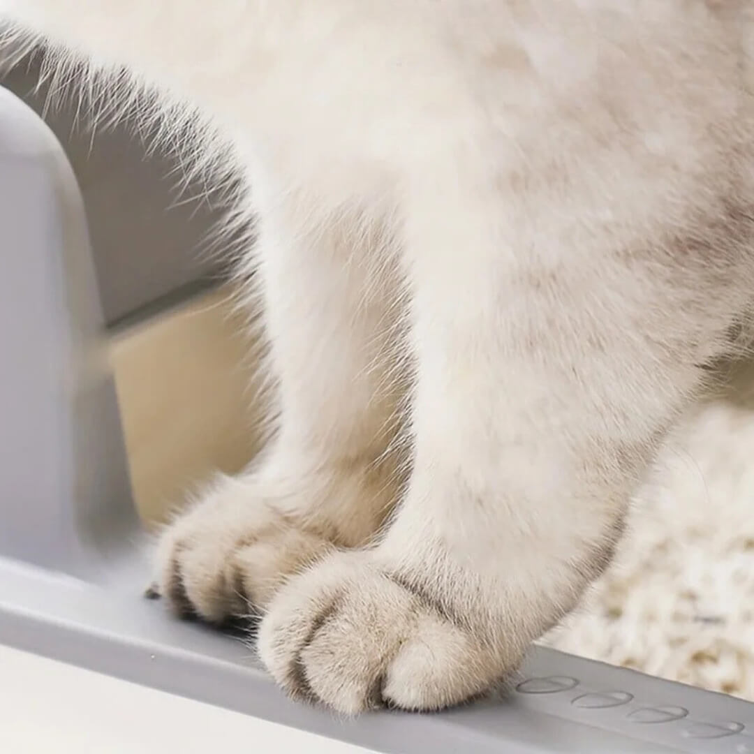 Nymock™ - Stainless Steel Cat Litter Box