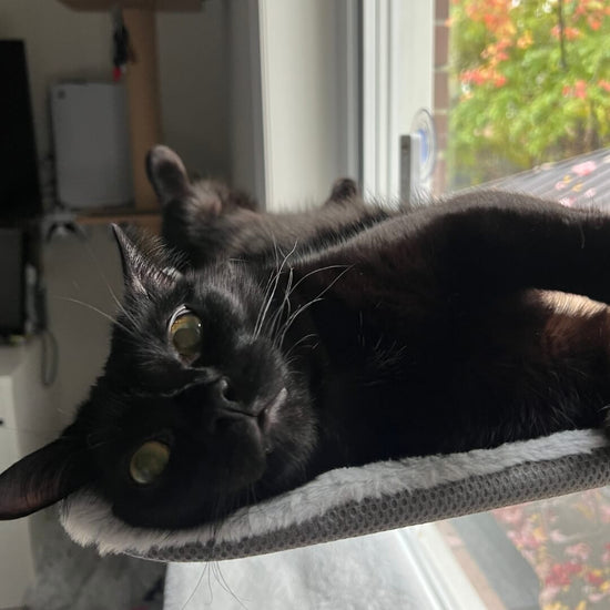 Nymock™ Foldable Cat Hammock