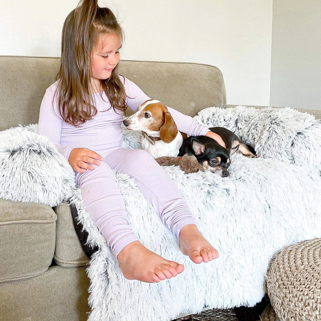 Calming Cloud™ Furniture Protector - Dark Grey / Small, Nymock