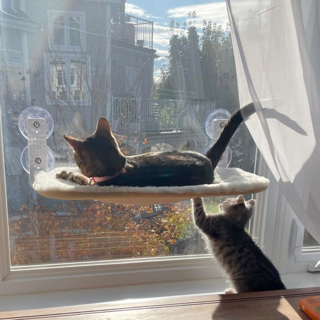 Nymock™ Foldable Cat Hammock